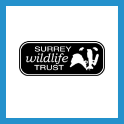 exhibitor-surrey-wildlife-trust-wellbeing is the new currency festival 14 | 15 September 2024 imber court 